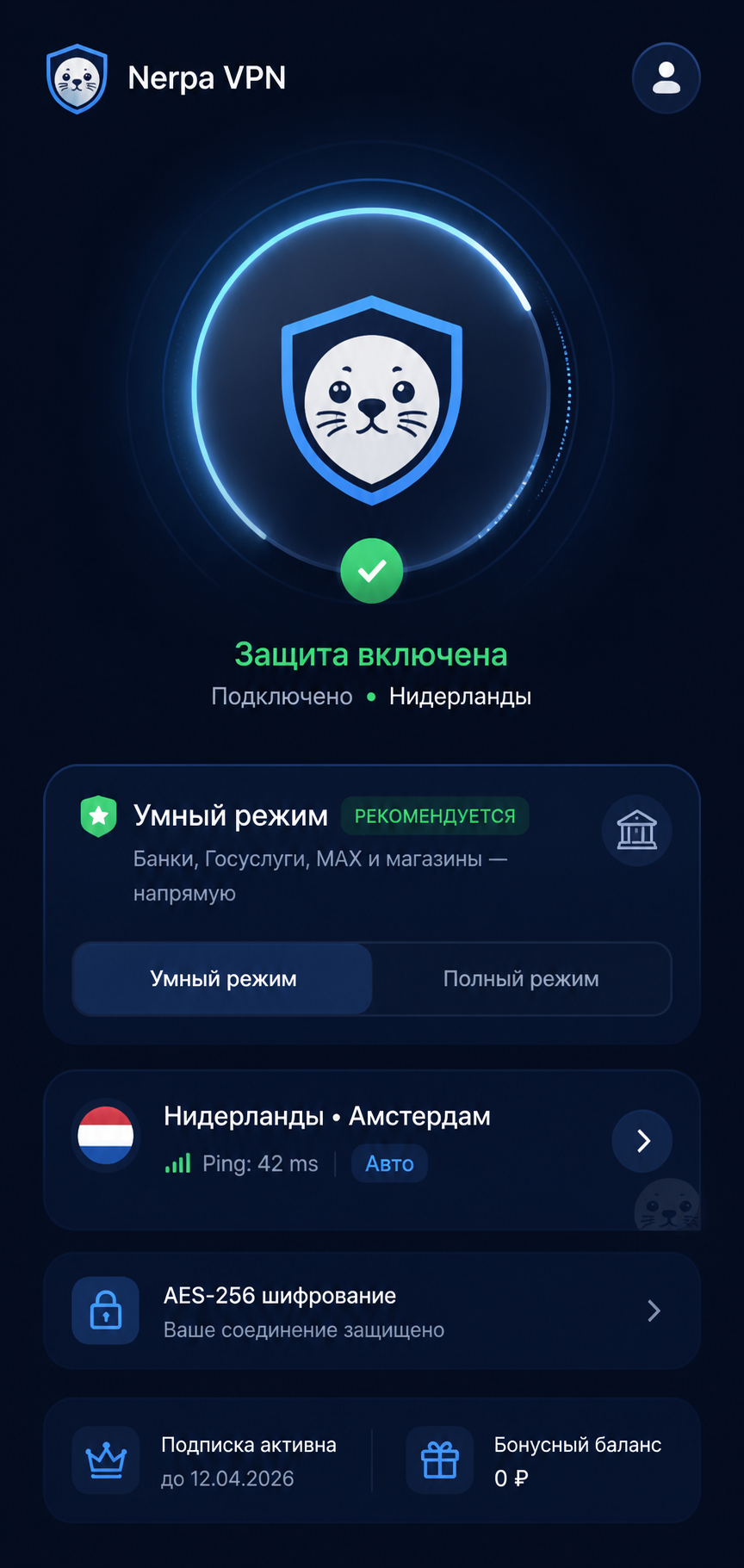 Экран приложения Nerpa VPN